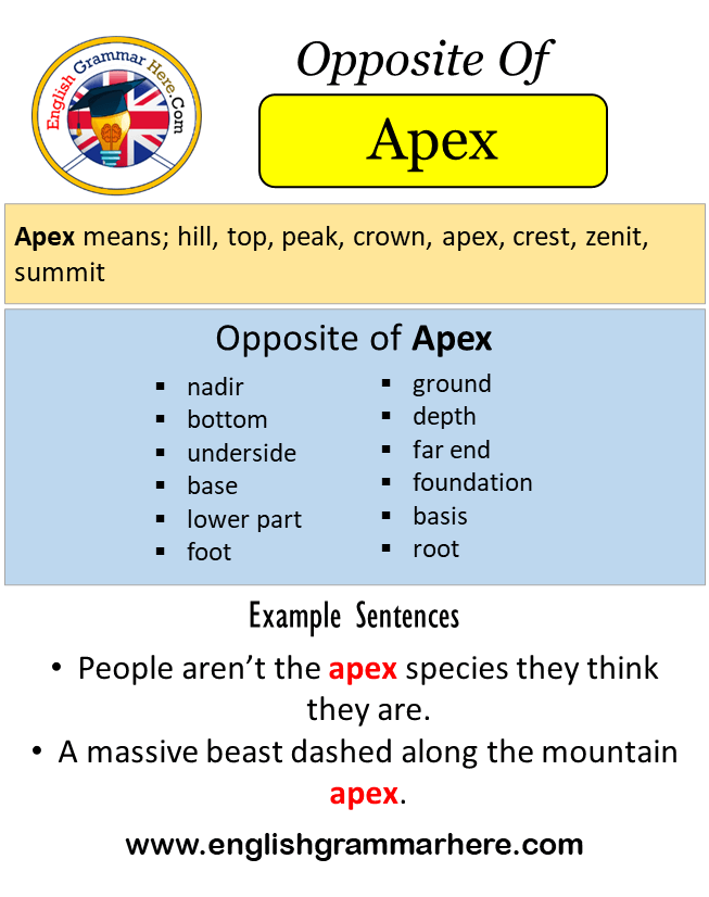 Opposite Of Apex, Antonyms of Apex, Meaning and Example Sentences