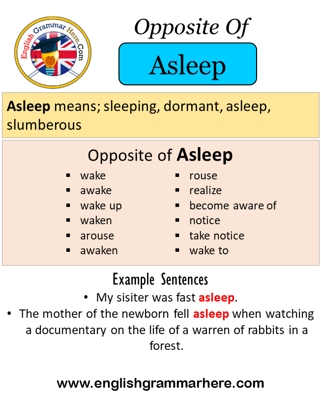 Opposite Of Asleep, Antonyms of Asleep, Meaning and Example Sentences