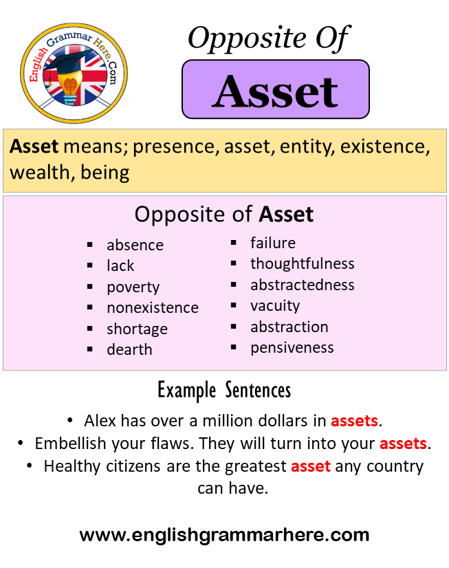 Opposite Of Asset, Antonyms of Asset, Meaning and Example Sentences -  English Grammar Here