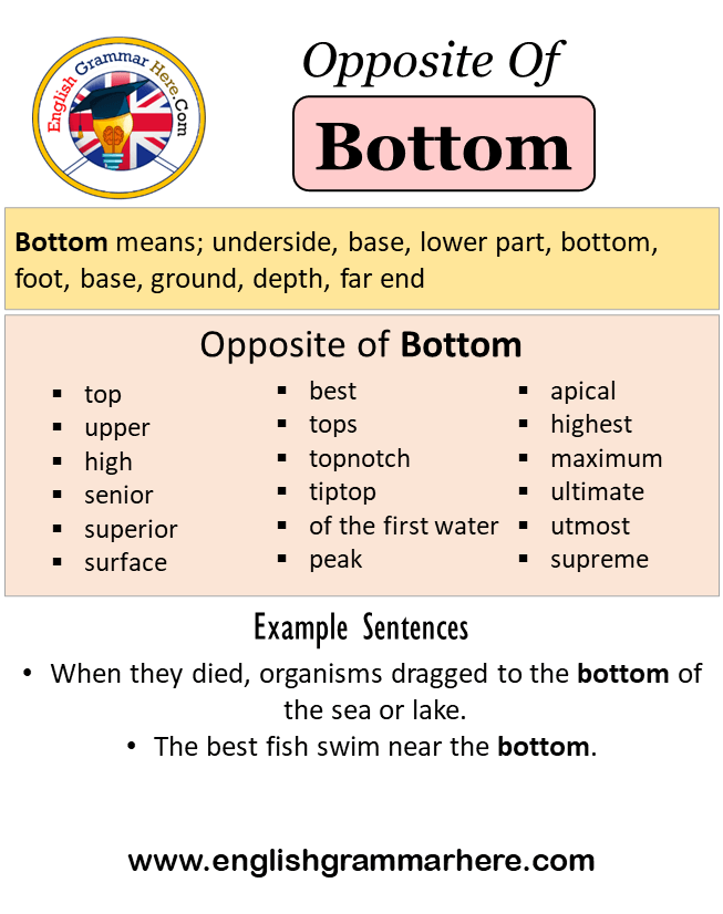 Opposite Of Bottom, Antonyms of Bottom, Meaning and Example Sentences