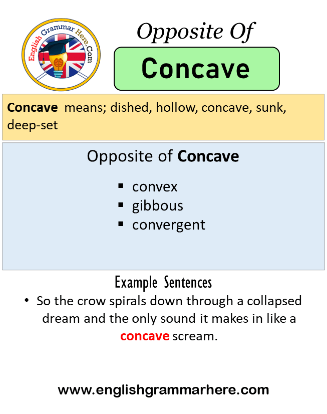 Opposite Of Concave, Antonyms of Concave, Meaning and Example Sentences