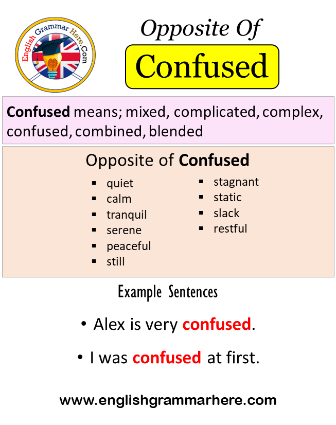 Opposite Of Confused, Antonyms of Confused, Meaning and Example ...