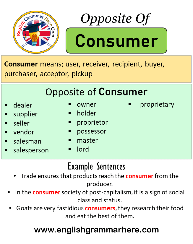 Consumer - Definition, Meaning & Synonyms
