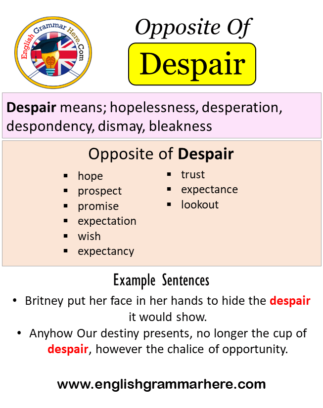 Opposite Of Despair, Antonyms of Despair, Meaning and Example Sentences