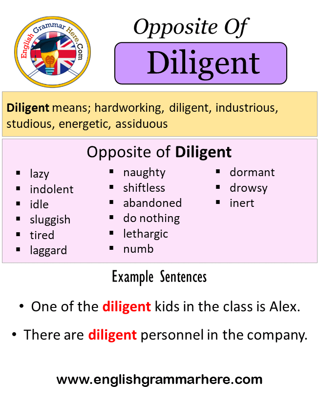 Opposite Of Diligent, Antonyms of Diligent, Meaning and Example Sentences