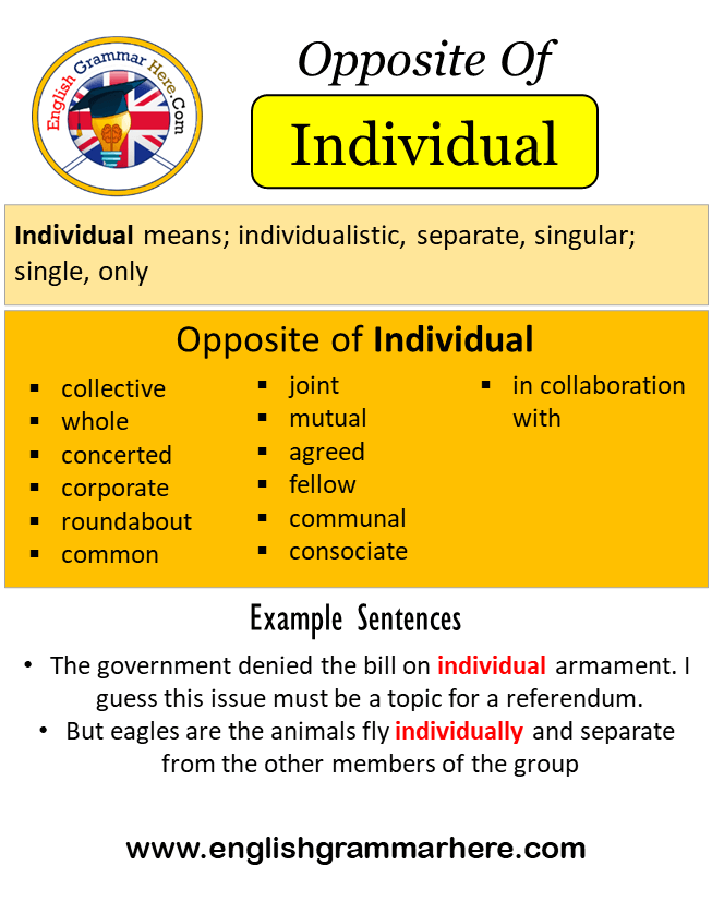 Opposite Of Individual, Antonyms of Individual, Meaning and Example Sentences