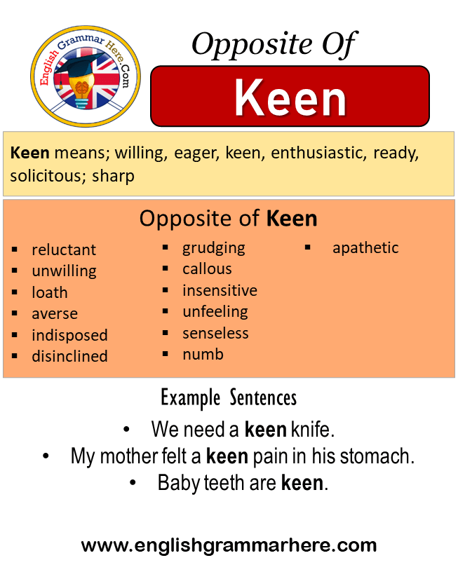 What Is A Antonym For The Word Keen