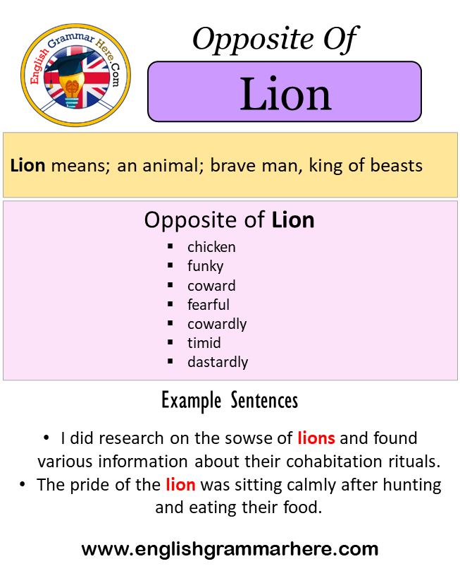 Opposite Of Lion, Antonyms of Lion, Meaning and Example Sentences