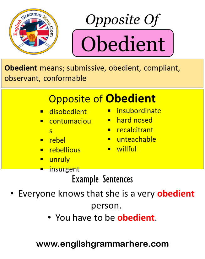 Opposite Of Obedient, Antonyms of Obedient, Meaning and Example Sentences