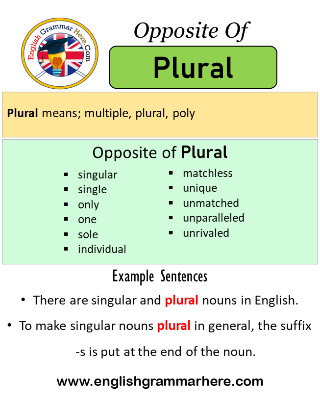 Opposite Of Plural, Antonyms of Plural, Meaning and Example Sentences