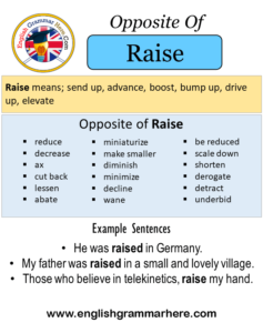 Opposite Of Raise, Antonyms of Raise, Meaning and Example Sentences