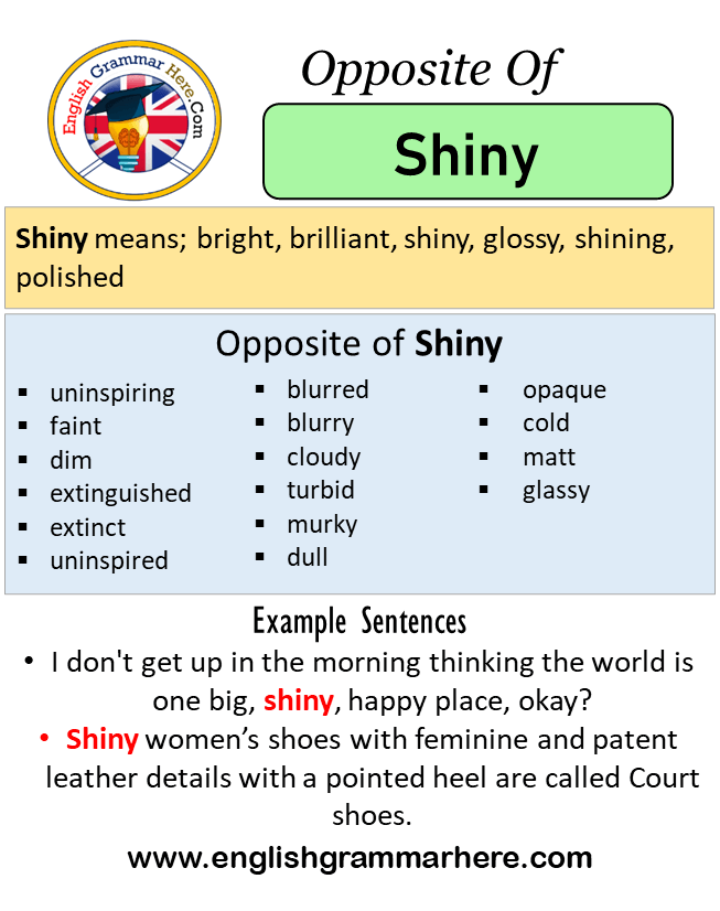 Opposite Of Shiny, Antonyms of Shiny, Meaning and Example Sentences
