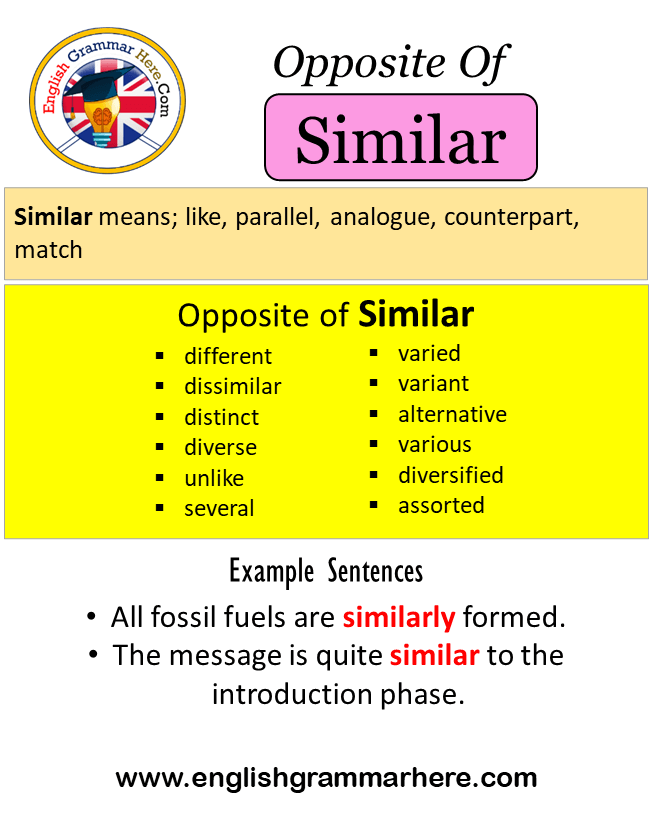 Opposite Of Similar, Antonyms of Similar, Meaning and Example Sentences
