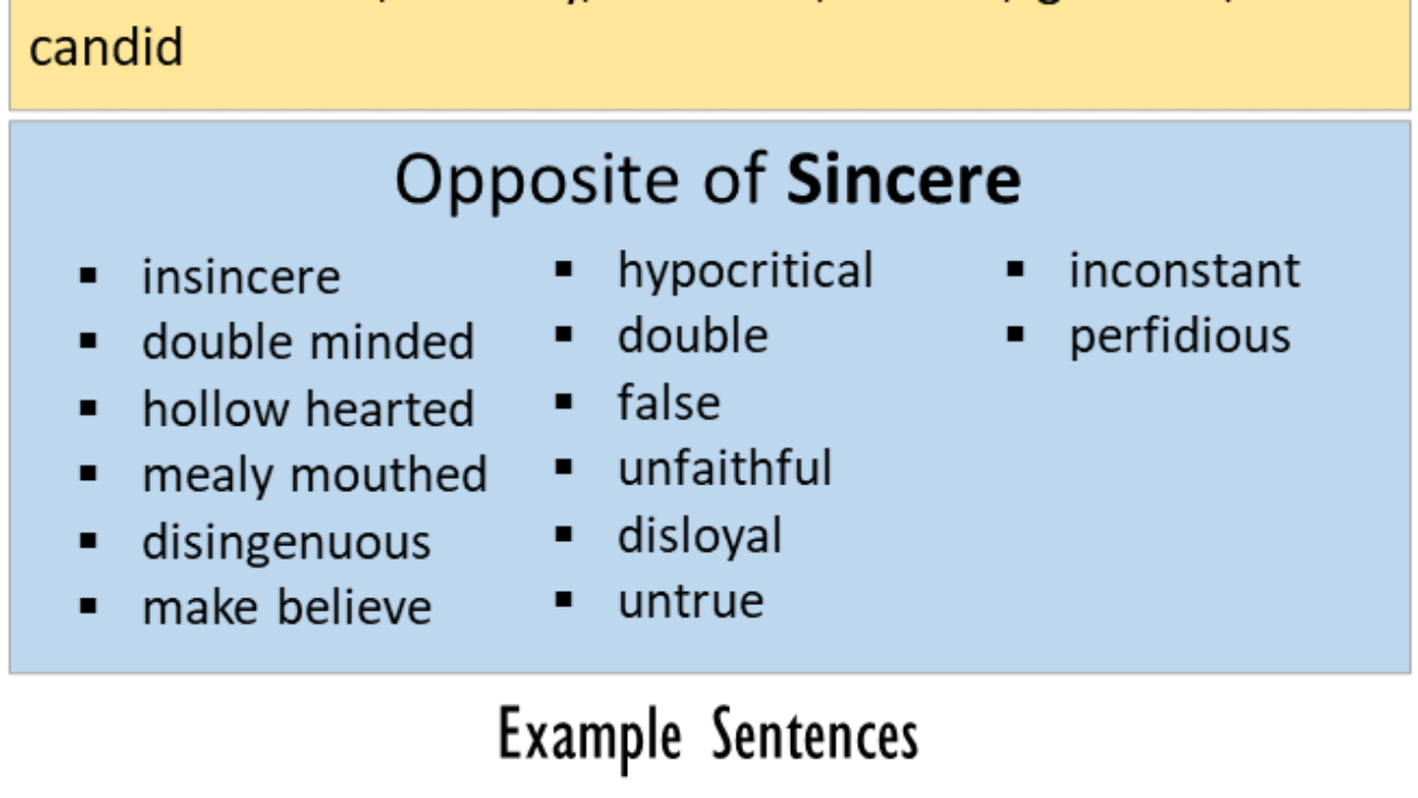 Opposite Of Sincere Antonyms Of Sincere Meaning And Example Sentences English Grammar Here