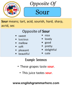 Opposite Of Sour, Antonyms of Sour, Meaning and Example Sentences