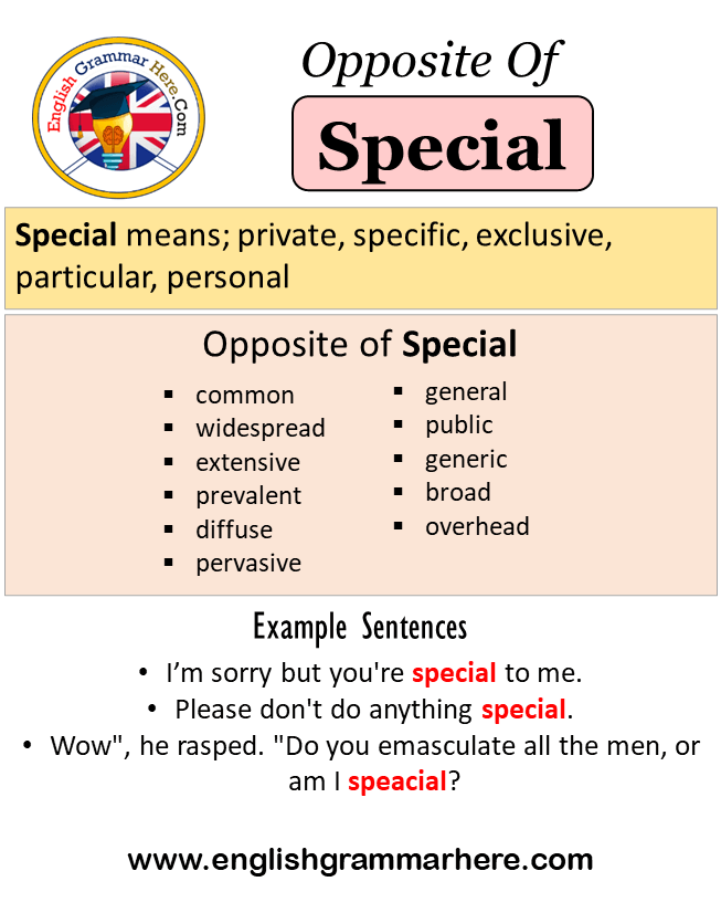 Opposite Of Special, Antonyms of Special, Meaning and Example Sentences