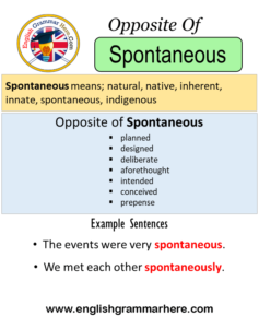 Opposite Of Spontaneous, Antonyms of Spontaneous, Meaning and Example