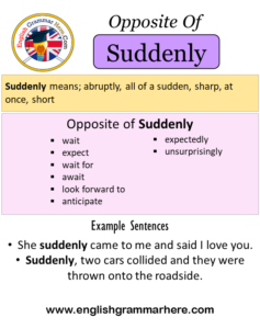 WHAT IS THE MEANING OF SUDDENLY IN ENGLISH visual data 2