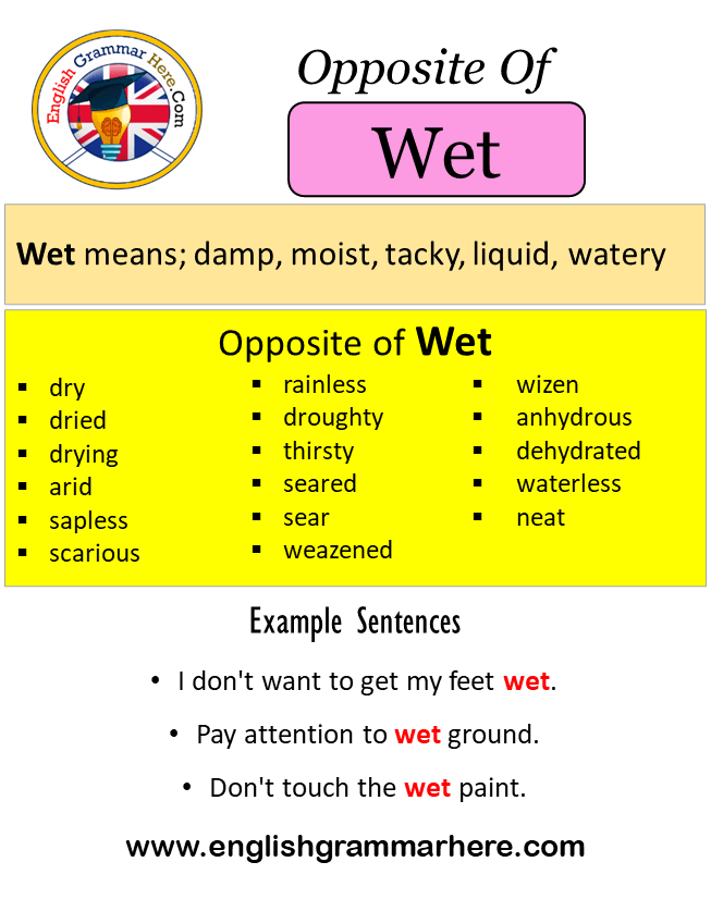 Opposite Of Wet, Antonyms of Wet, Meaning and Example Sentences