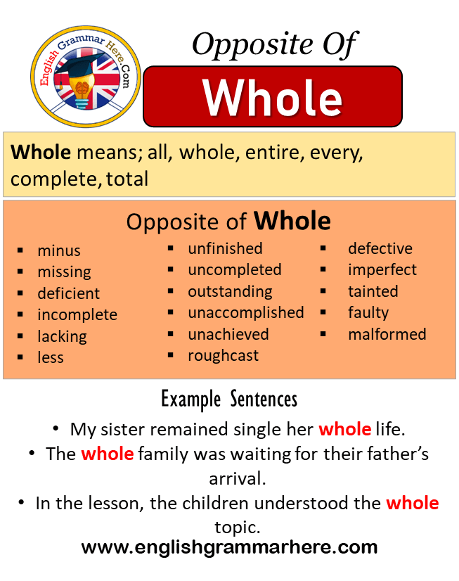 Opposite Of Whole, Antonyms of Whole, Meaning and Example Sentences
