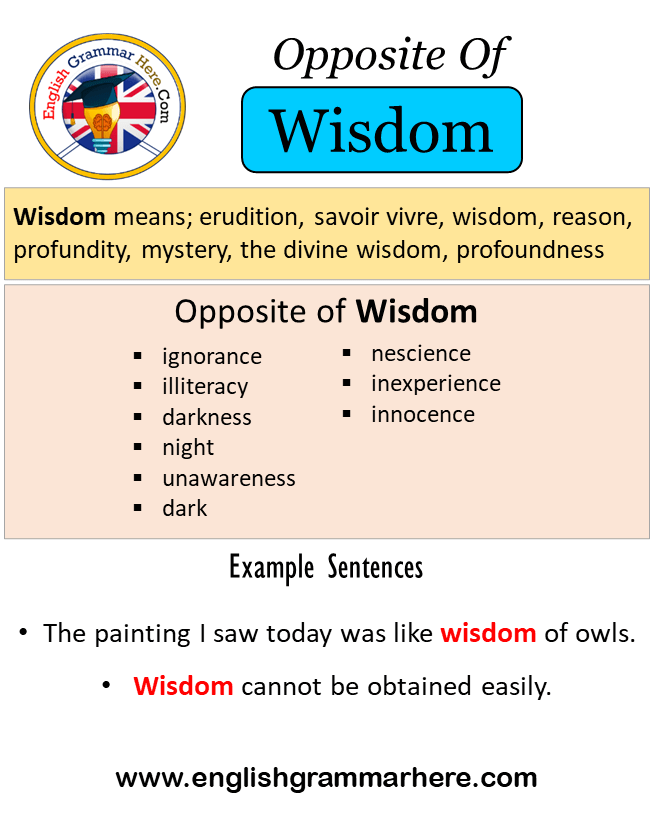 Opposite Of Wisdom, Antonyms of Wisdom, Meaning and Example Sentences