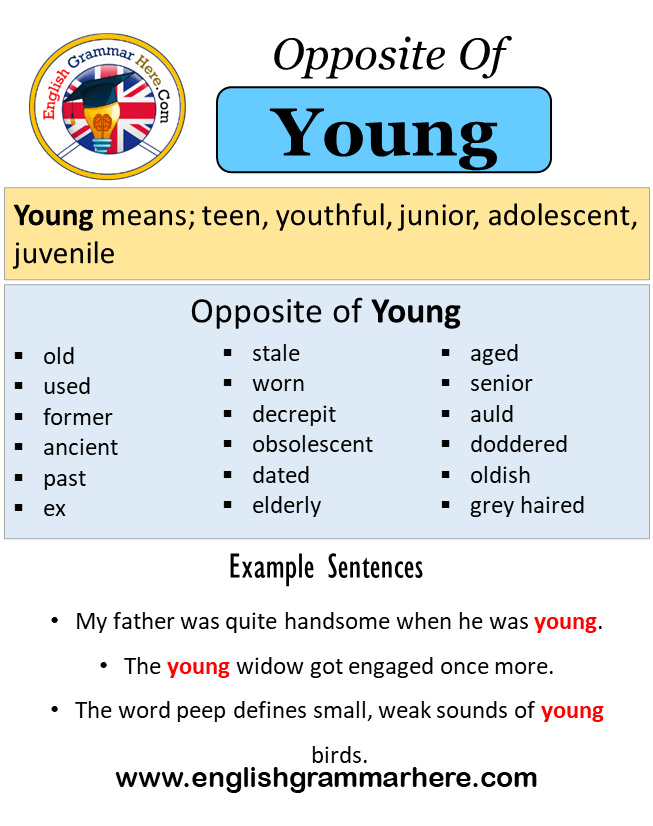 Being young means. Handsome Word Definition. Friendly opposite Word. Rich антоним на английском. Smooth opposite Word.