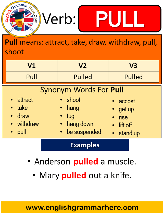 Drew or Drawn: Which Is Correct? (Helpful Examples)