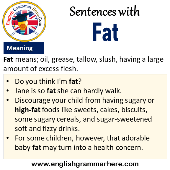 sentences-with-fat-fat-in-a-sentence-and-meaning-english-grammar-here