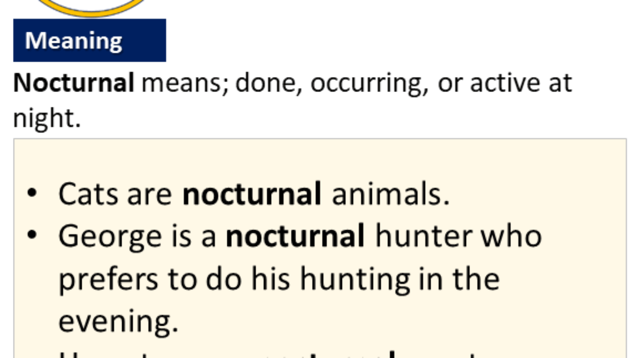 Nocturnal Meaning
