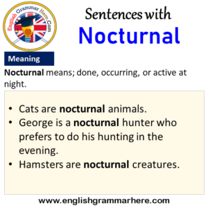 nocturnal trip meaning