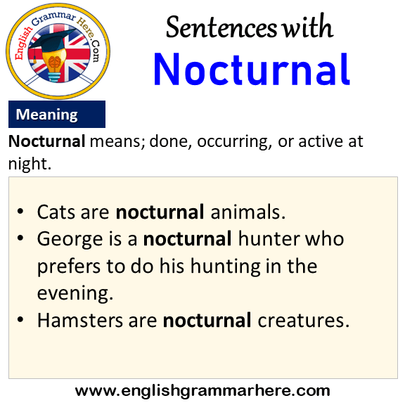 Sentences with Nocturnal, Nocturnal in a Sentence and Meaning