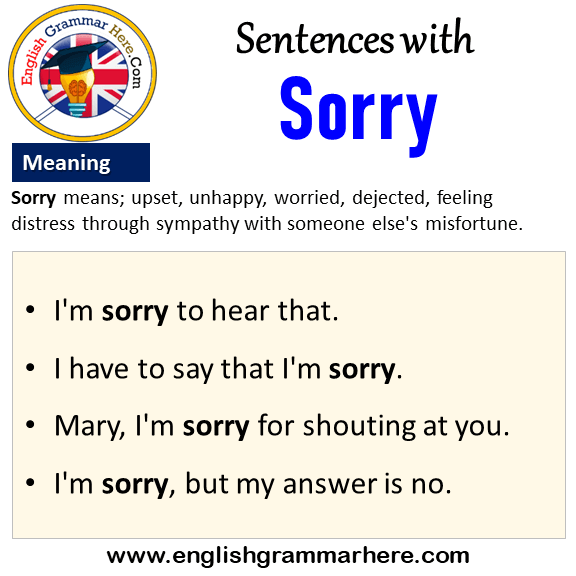 Sentences with Sorry, Sorry in a Sentence and Meaning