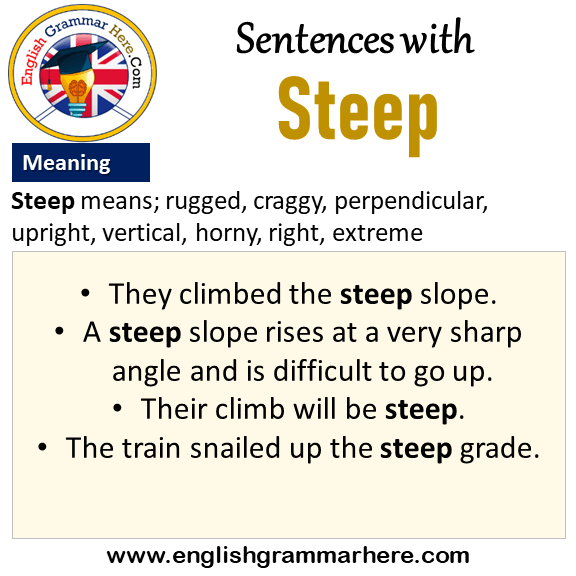 Steep meaning in Hindi  Explained Steep With Using Sentence 