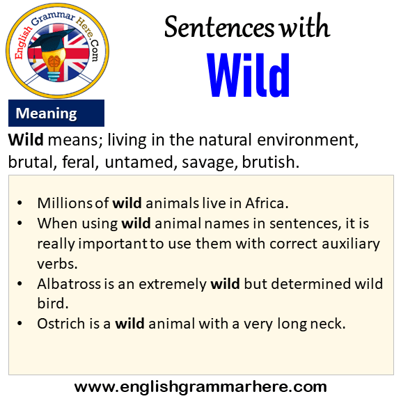 Sentences with Wild, Wild in a Sentence and Meaning