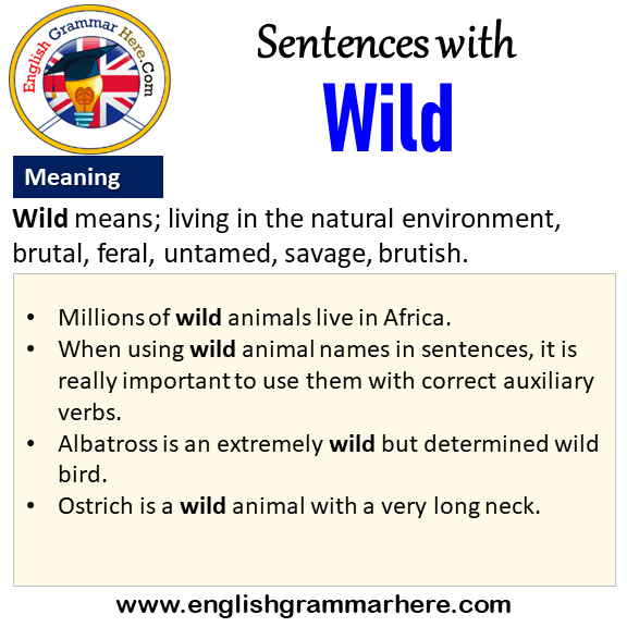 Sentences with Wild, Wild in a Sentence and Meaning - English Grammar Here