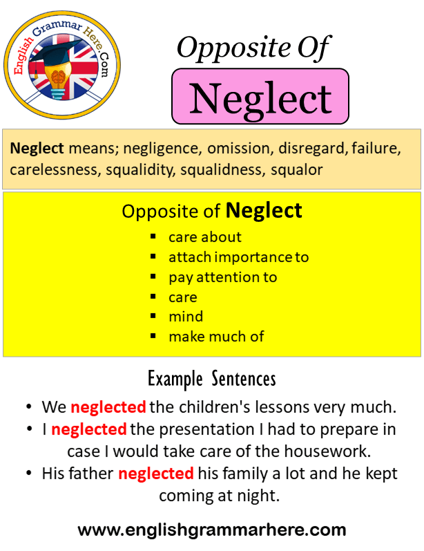 Opposite Of Neglect, Antonyms of Neglect, Meaning and Example Sentences