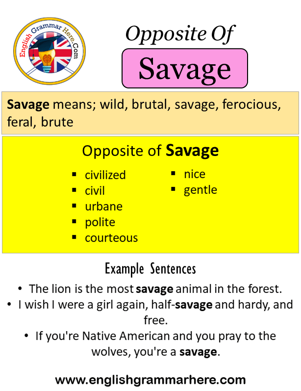 Opposite Of Savage, Antonyms of Savage, Meaning and Example Sentences