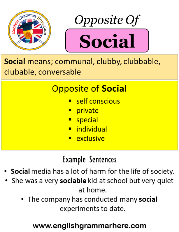 Opposite Of Social, Antonyms of Social, Meaning and Example Sentences