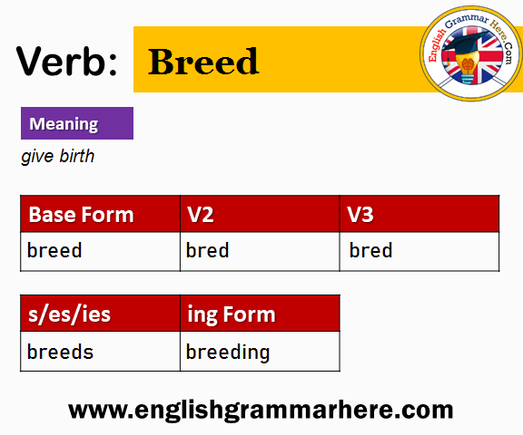 Breed V1 V2 V3 V4 V5, Past Simple and Past Participle Form of Breed