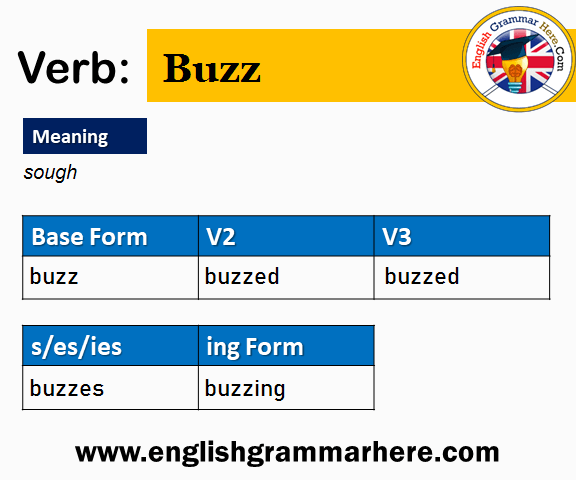 Buzz V1 V2 V3 V4 V5, Past Simple and Past Participle Form of Buzz