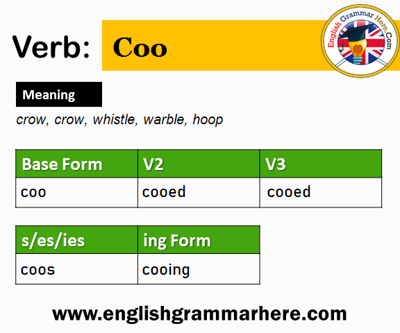 Coo V1 V2 V3 V4 V5, Past Simple and Past Participle Form of Coo