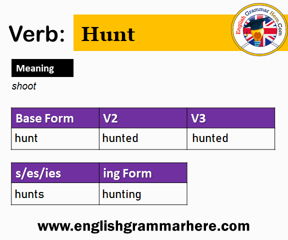 Hunt V1 V2 V3 V4 V5, Past Simple and Past Participle Form of Hunt