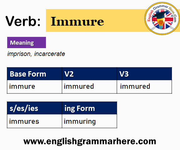 Immure V1 V2 V3 V4 V5, Past Simple and Past Participle Form of Immure