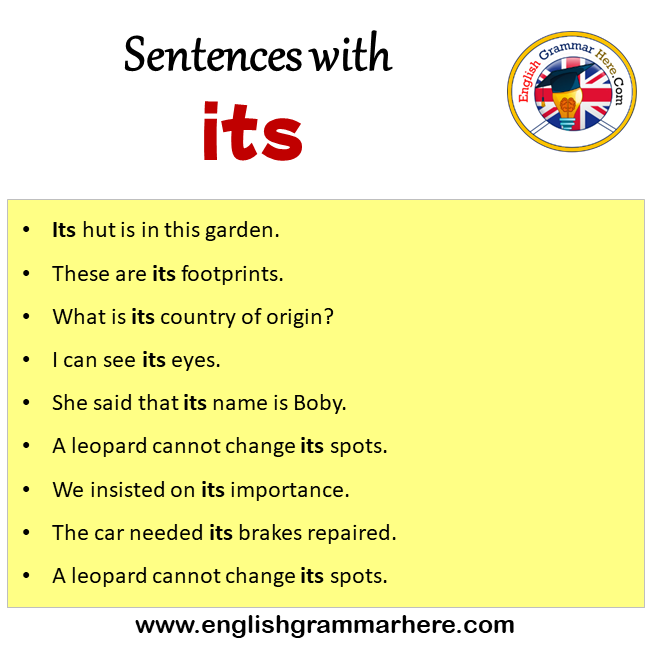 Sentences with Its, 9 Sentences with Its in English