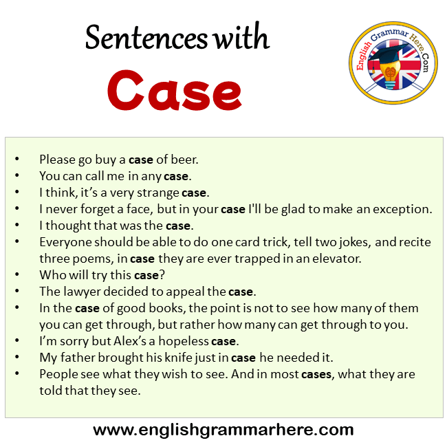 Sentences with Case, Case in a Sentence in English