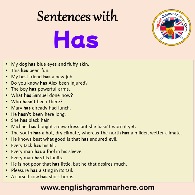 Sentences with Has, Has in a Sentence in English