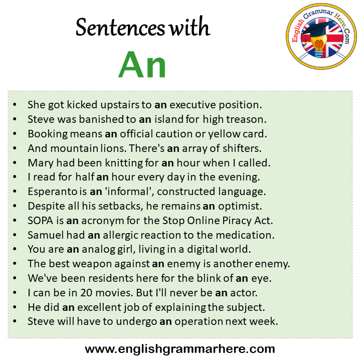 sentences-with-an-an-in-a-sentence-in-english-sentences-for-an