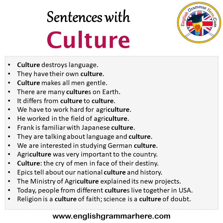 Sentences with Culture, Culture in a Sentence in English, Sentences For Culture