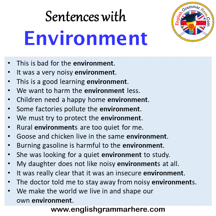 How do you put environment in a sentence?