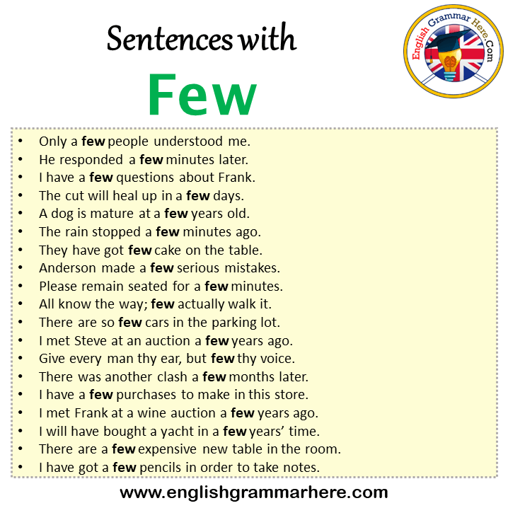 Sentences with Few, Few in a Sentence in English, Sentences For Few -  English Grammar Here